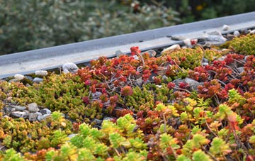 the cost of Finchdean green roof installation